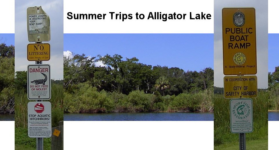 alligator lake