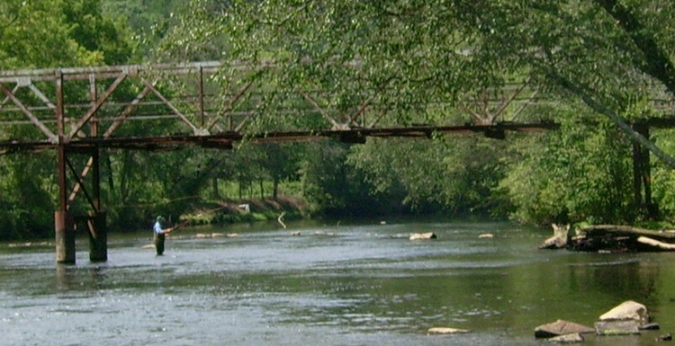 Carey fishing below the old Curtis bridge