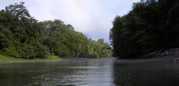 The Toccoa between the dam and the highway