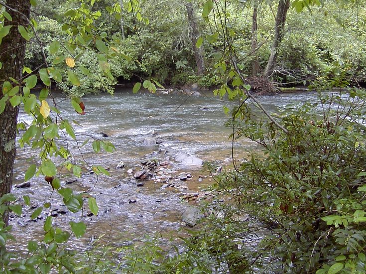 Brasstown creek