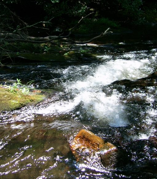 a run on fires creek